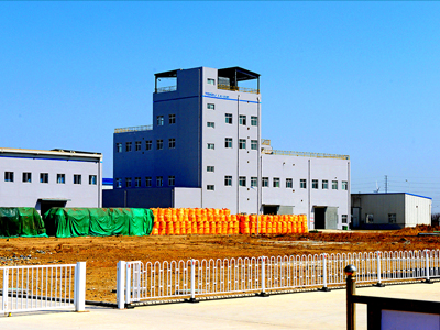 Engineering Plant ofTenm Fertilizer Co., Ltd in Pingdu District